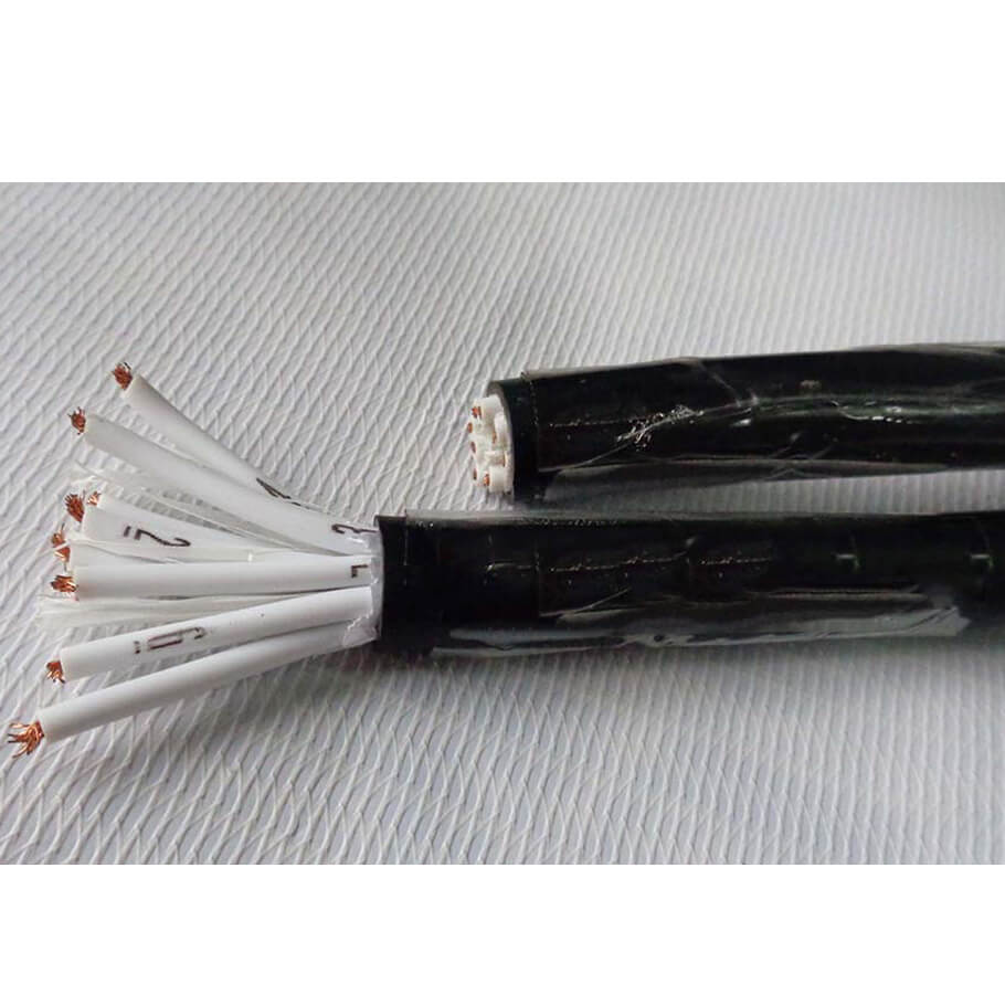 Cáp điều khiển SangJin 8C x 0.75 SQmm